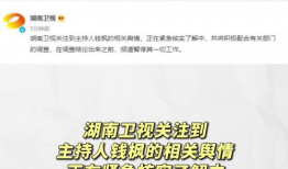 娱乐圈吃瓜试题,揭秘明星背后的秘密与争议